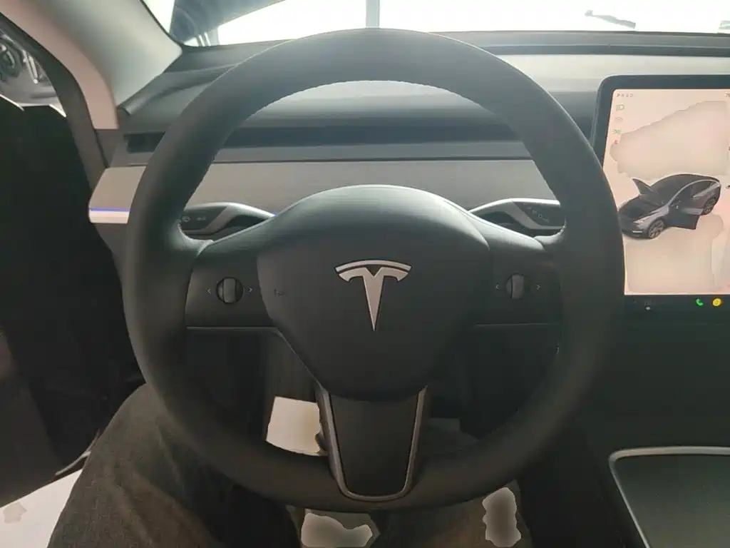 Tesla Model Y — миниатюра 11