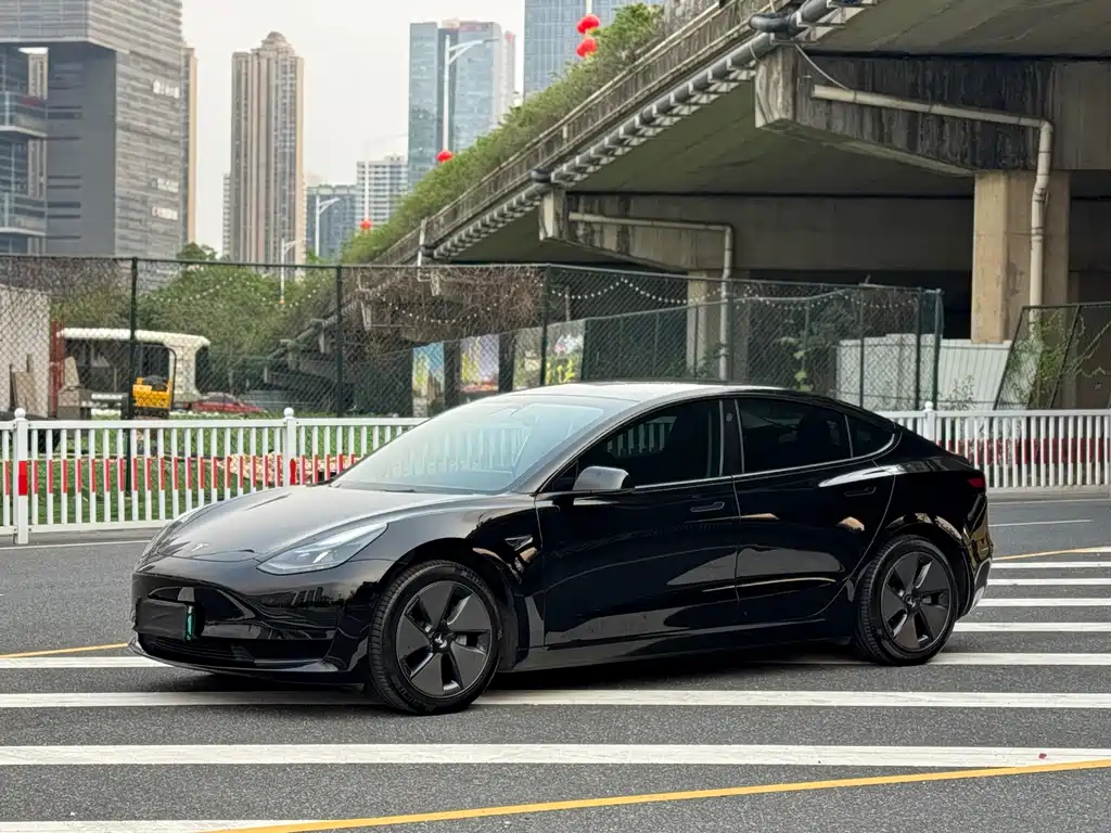 Tesla Model 3 2021