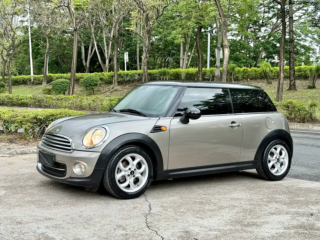 Mini Mini 2013
