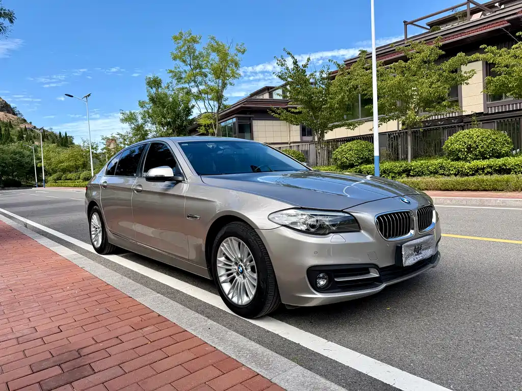 BMW 5 Series — миниатюра 3
