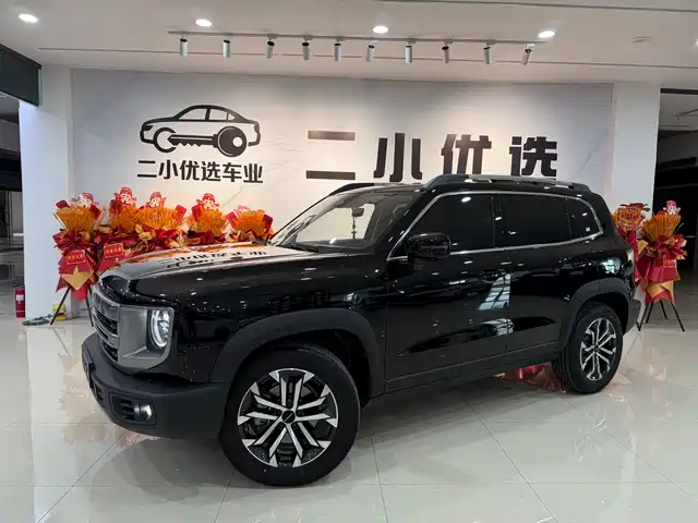 2025 Haval Big Dog