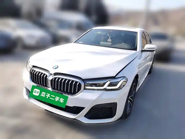BMW 5 SERIES