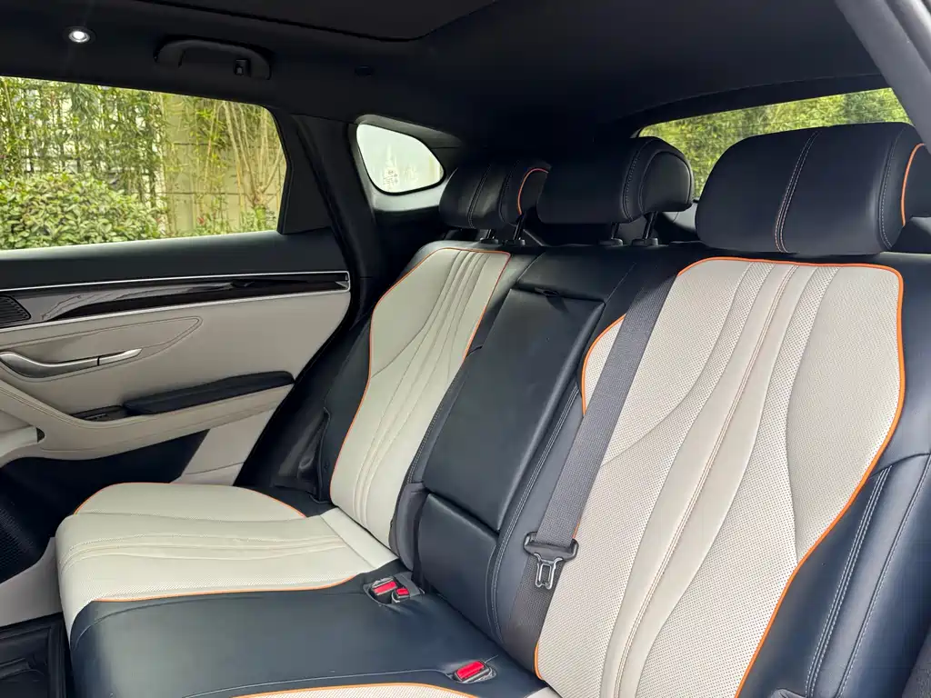 BYD SONGJIANG NEW ENERGY