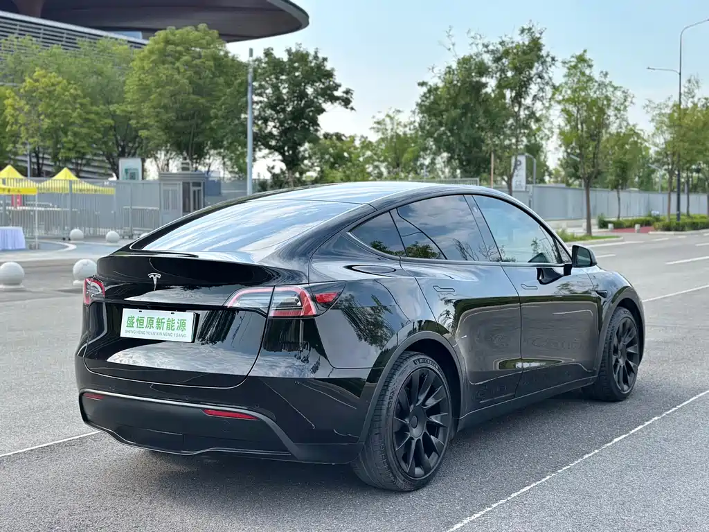 Tesla Model Y — миниатюра 12