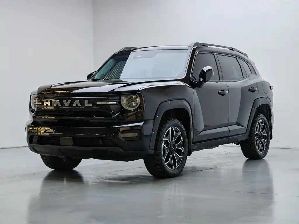 Haval 哈弗大狗 PLUS 新能源 2025