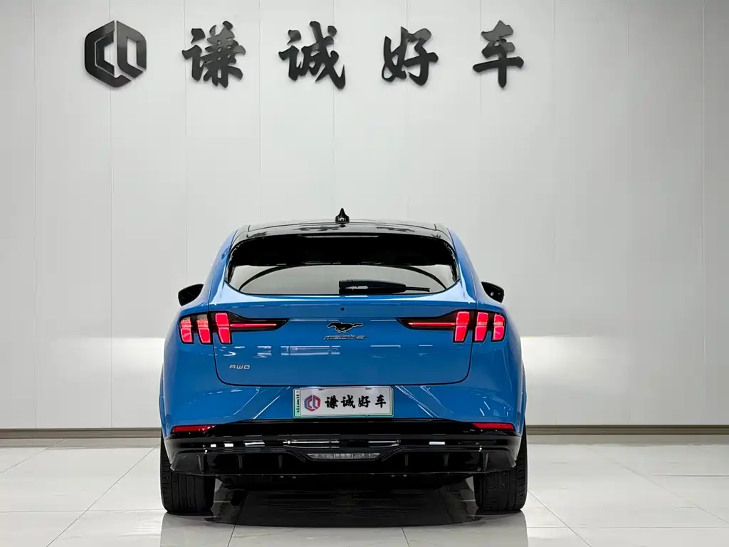 Ford Mustang Mach-E — миниатюра 7
