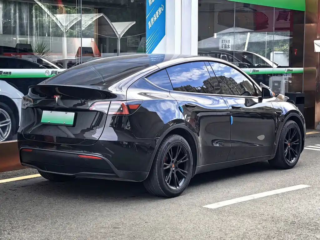 Tesla Model Y — миниатюра 13
