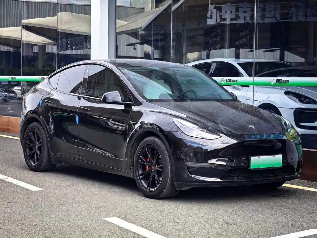 Tesla Model Y — миниатюра 3