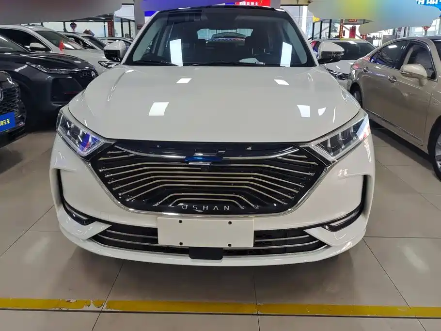 Oshan Oushang X7 — миниатюра 2