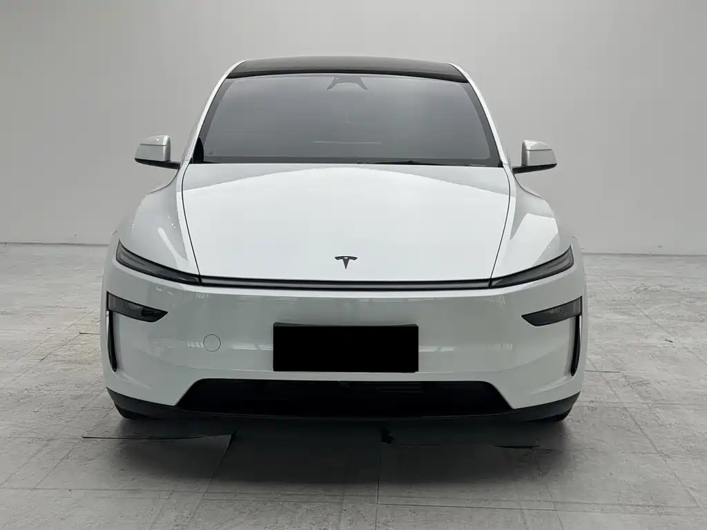 Tesla Model Y L