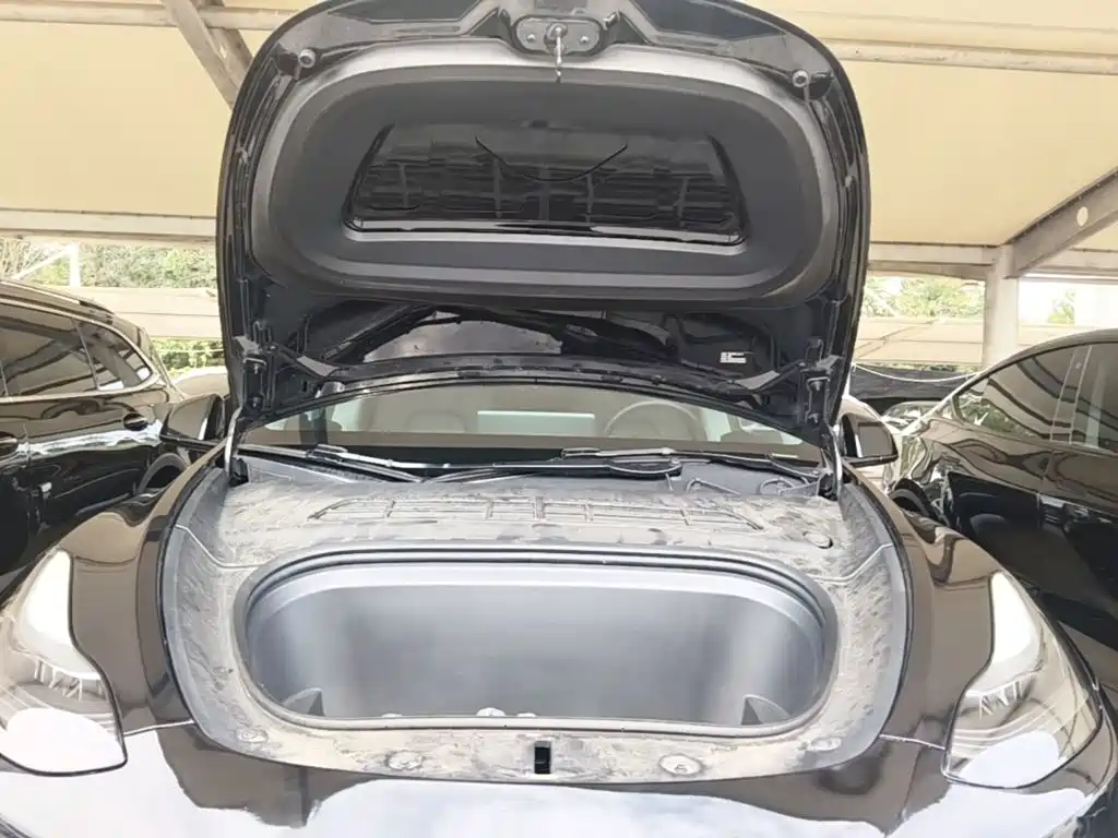 Tesla Model Y — миниатюра 20