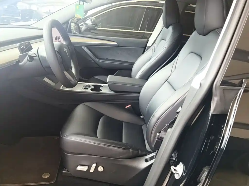 Tesla Model Y — миниатюра 15