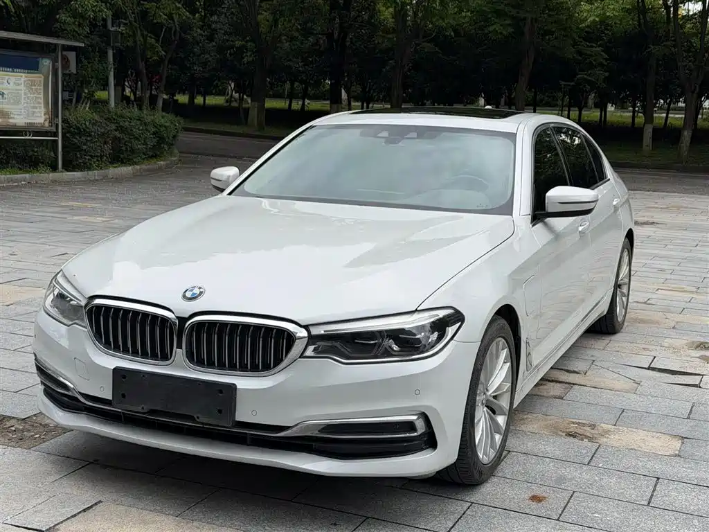 BMW 5 Series New Energy 2020