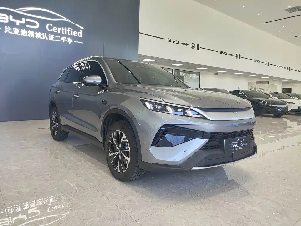 BYD Pro New Energy — миниатюра 3