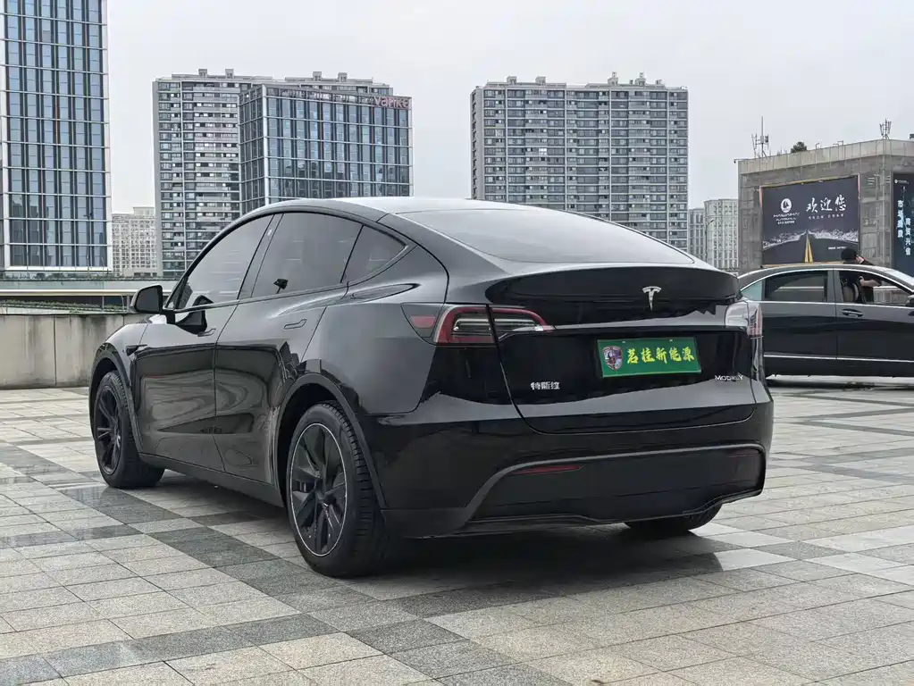Tesla Model Y — миниатюра 16