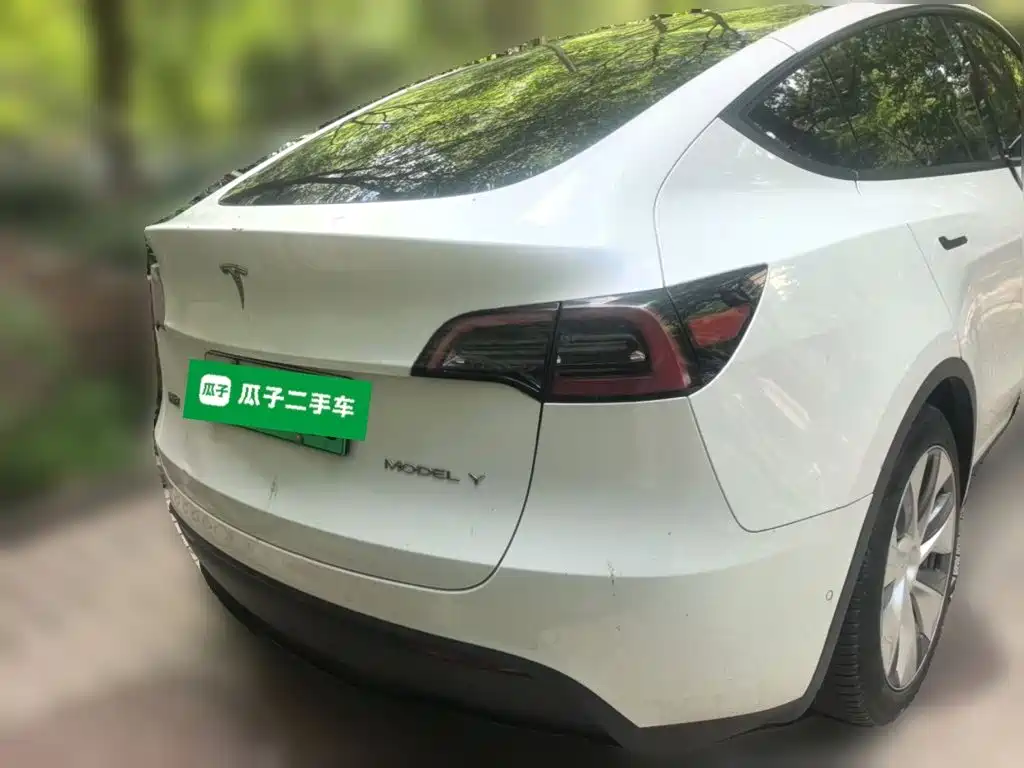 Tesla Model Y — миниатюра 3