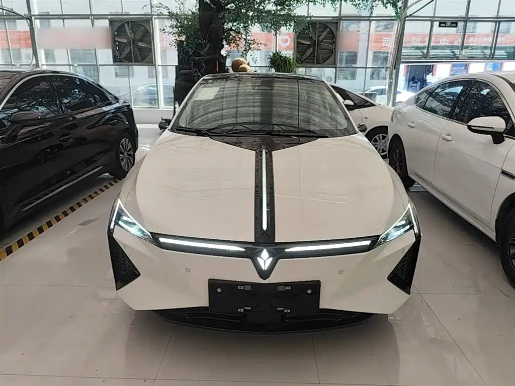 Lingxi L