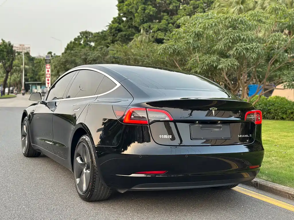 Tesla Model 3 — миниатюра 5