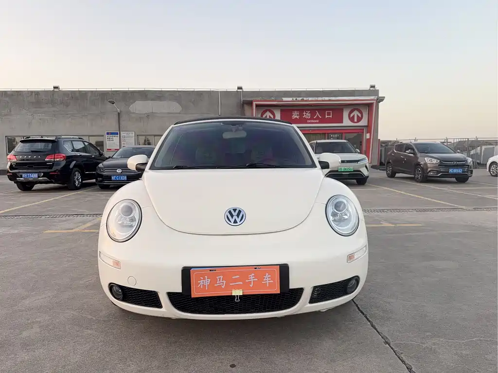 Volkswagen Beetle — миниатюра 2