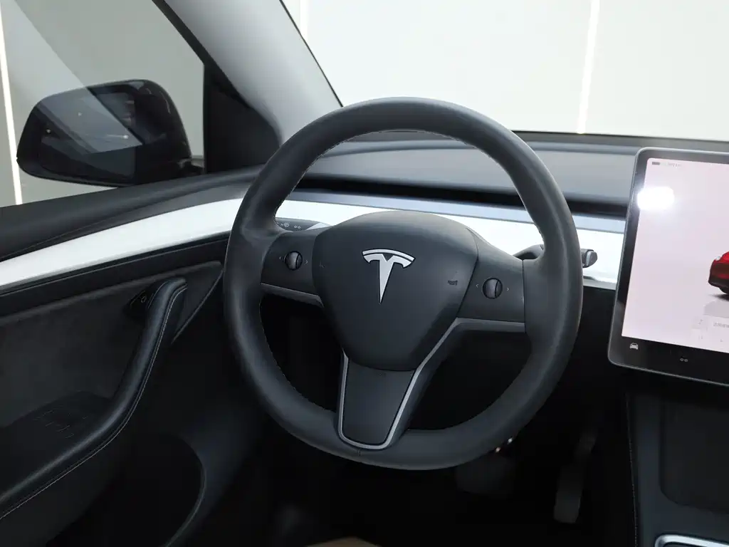 Tesla Model Y — миниатюра 12