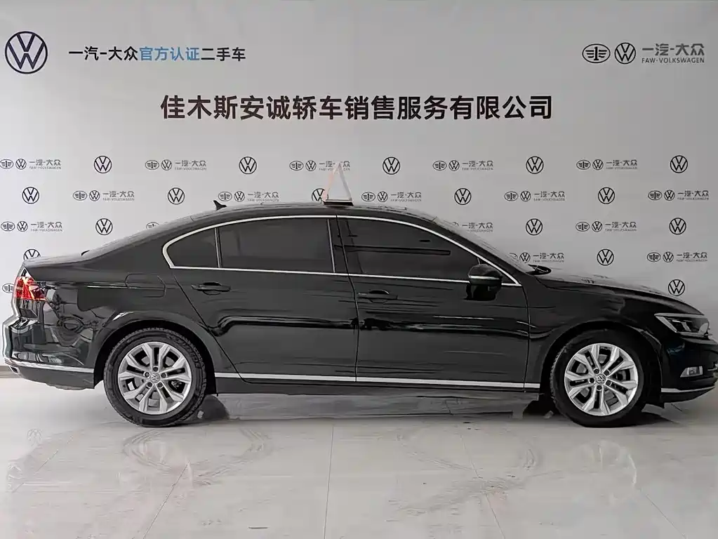 Volkswagen Magotan 2019 330TSI DSG Luxury VI