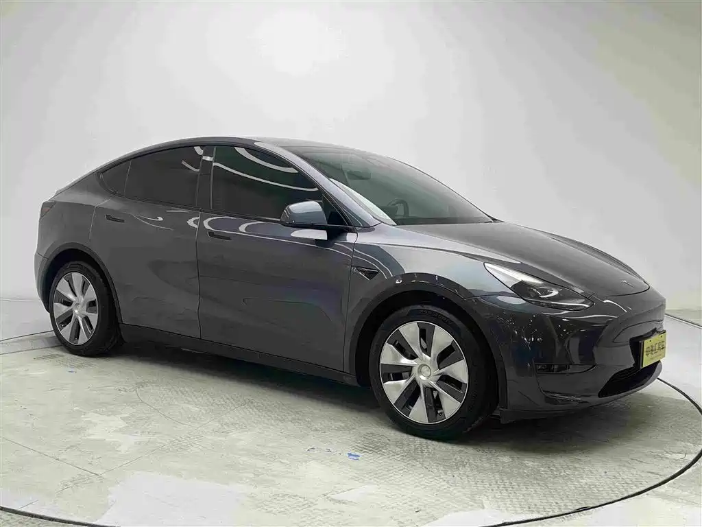 Tesla Model Y — миниатюра 3