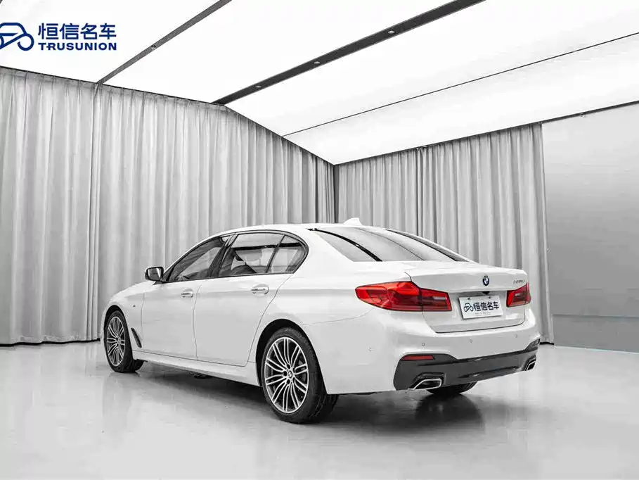 BMW 5 Series 5 2018 530Li Premium M Sport