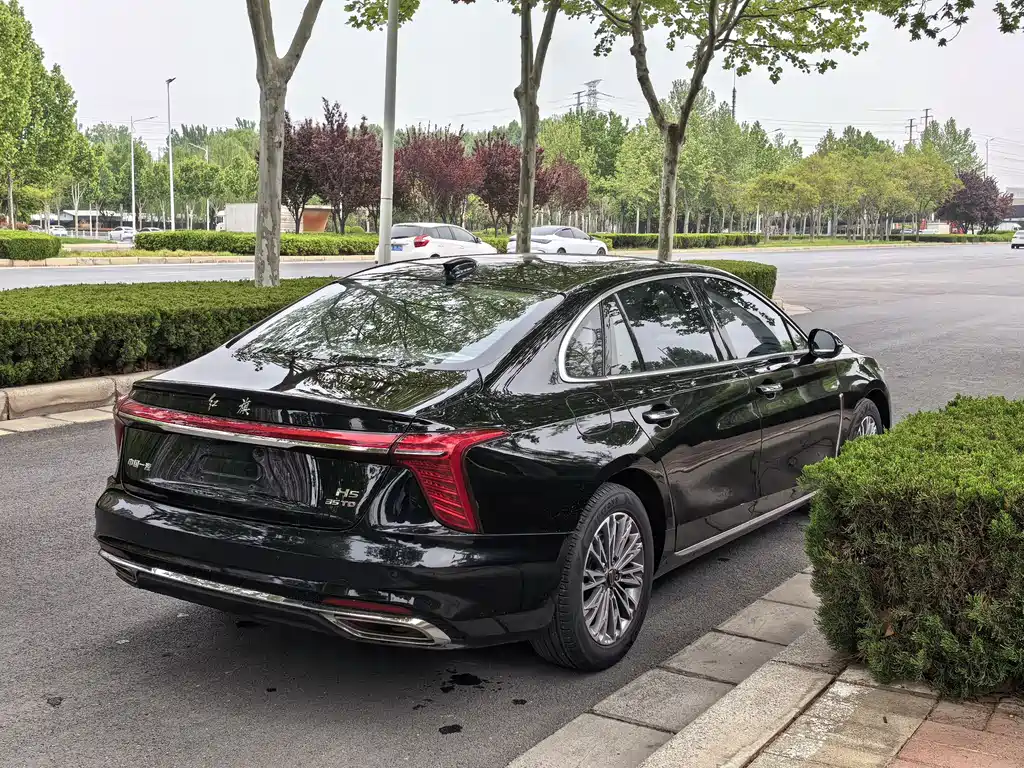 Hongqi H5 2024 1.5T DCT