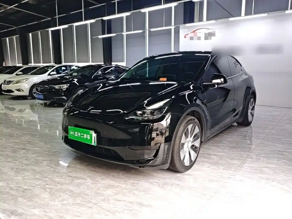 Tesla Model Y — миниатюра 2