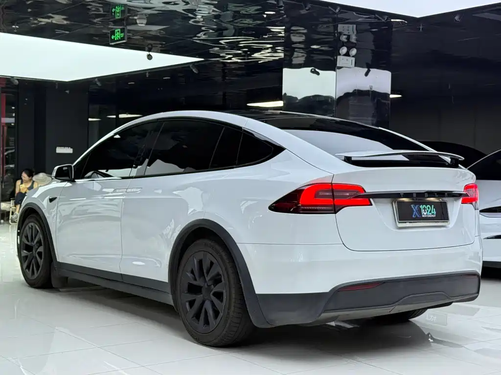 Tesla Model X — миниатюра 6