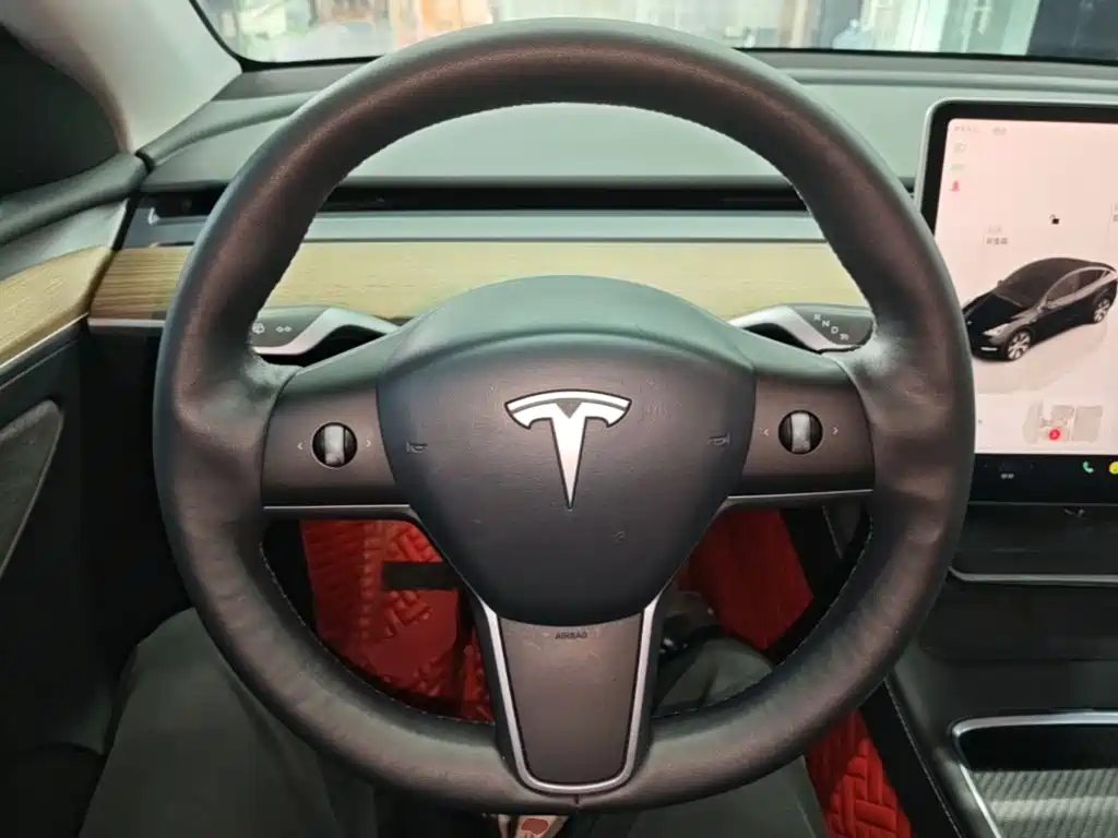 Tesla Model Y — миниатюра 11
