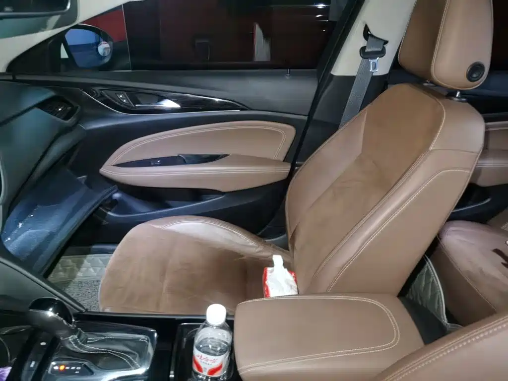 Buick Regal — миниатюра 18