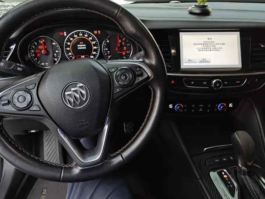 Buick Regal — миниатюра 12