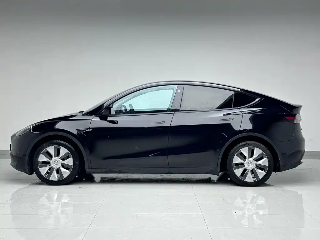Tesla Model Y — миниатюра 16