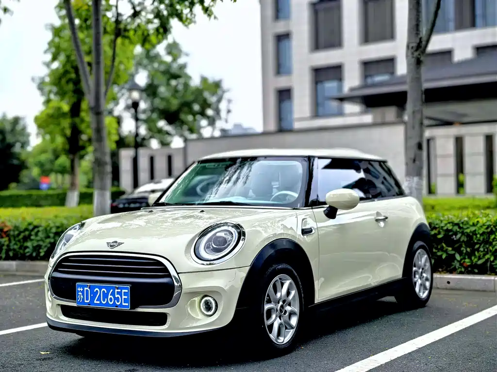Mini Mini 2020