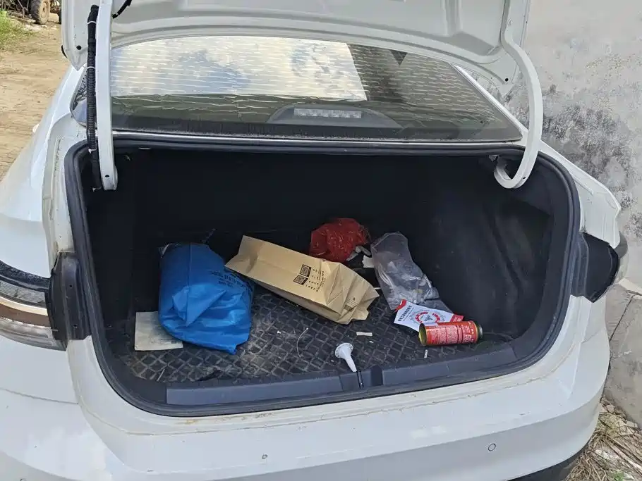 Volkswagen Lavida — миниатюра 4