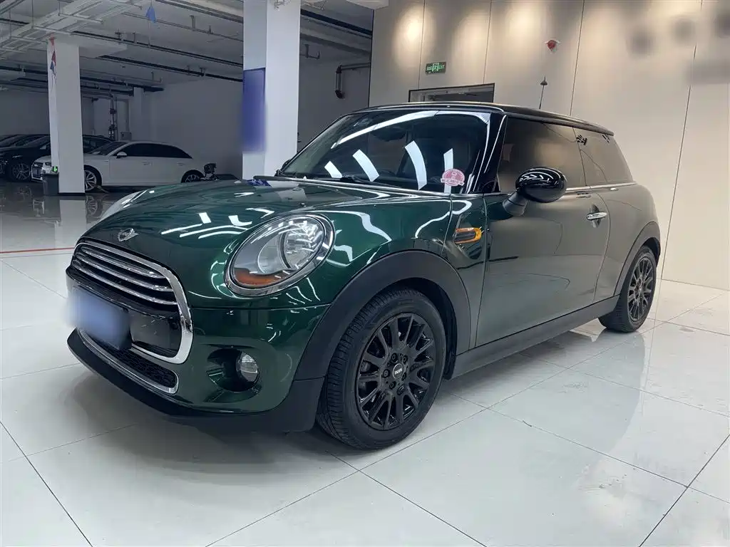 Mini Mini 2017