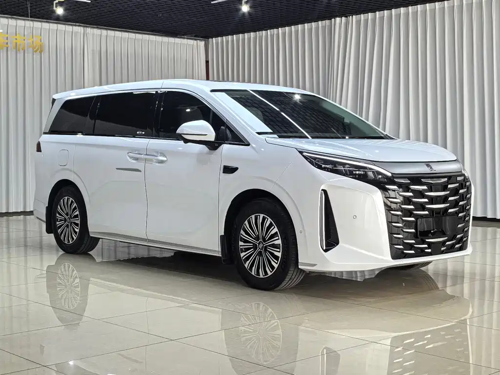 BYD Xia — миниатюра 3