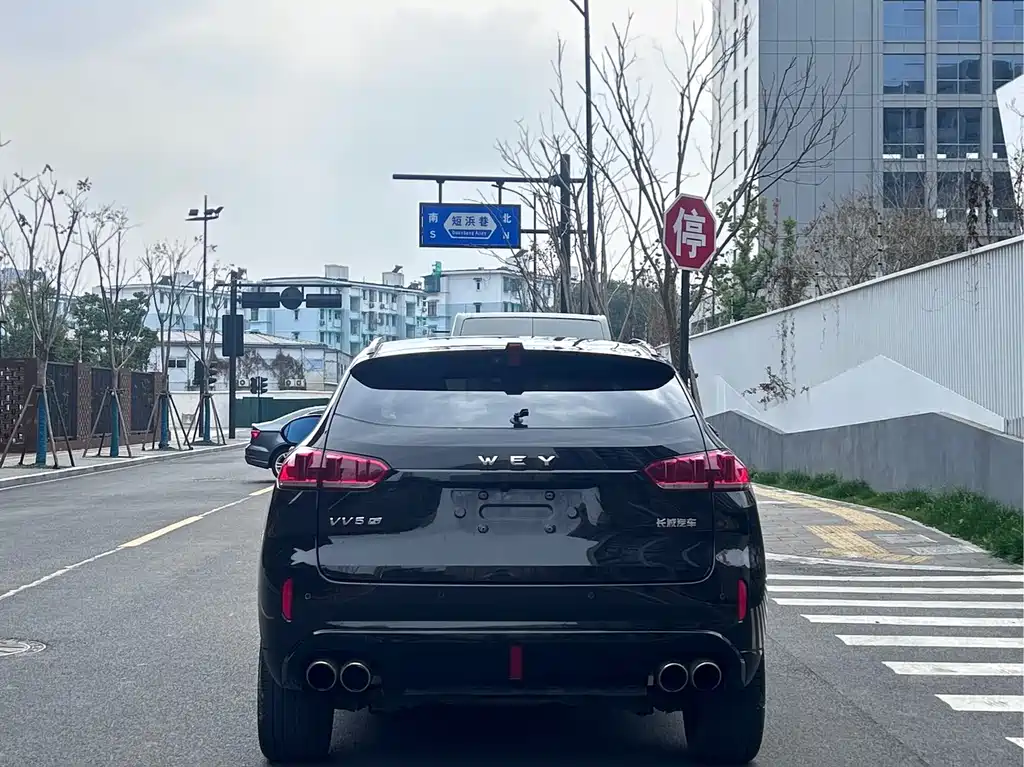 WEI PAI WEI BRAND VV5