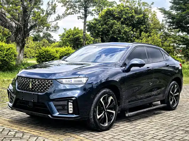 2021 Wey VV7