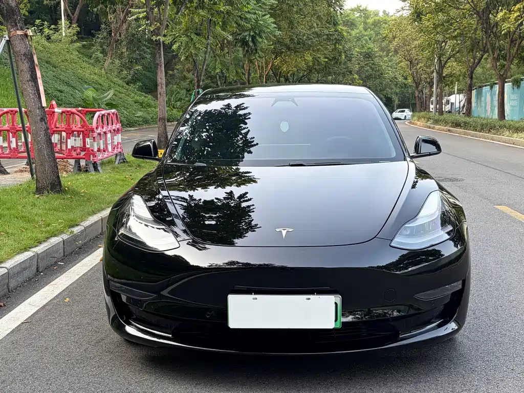 Tesla Model 3 — миниатюра 2