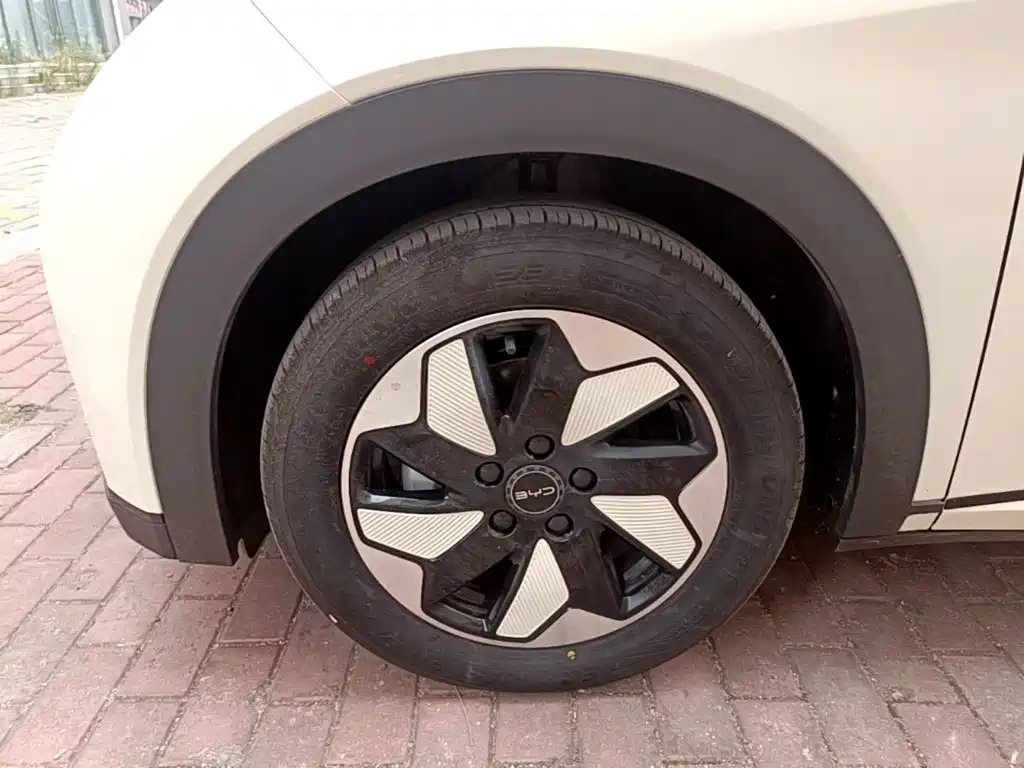 BYD Dolphin — миниатюра 23