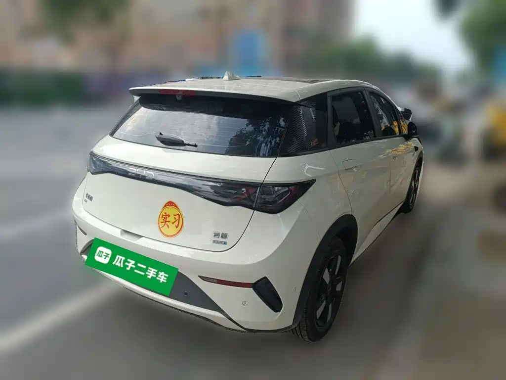BYD Dolphin — миниатюра 6