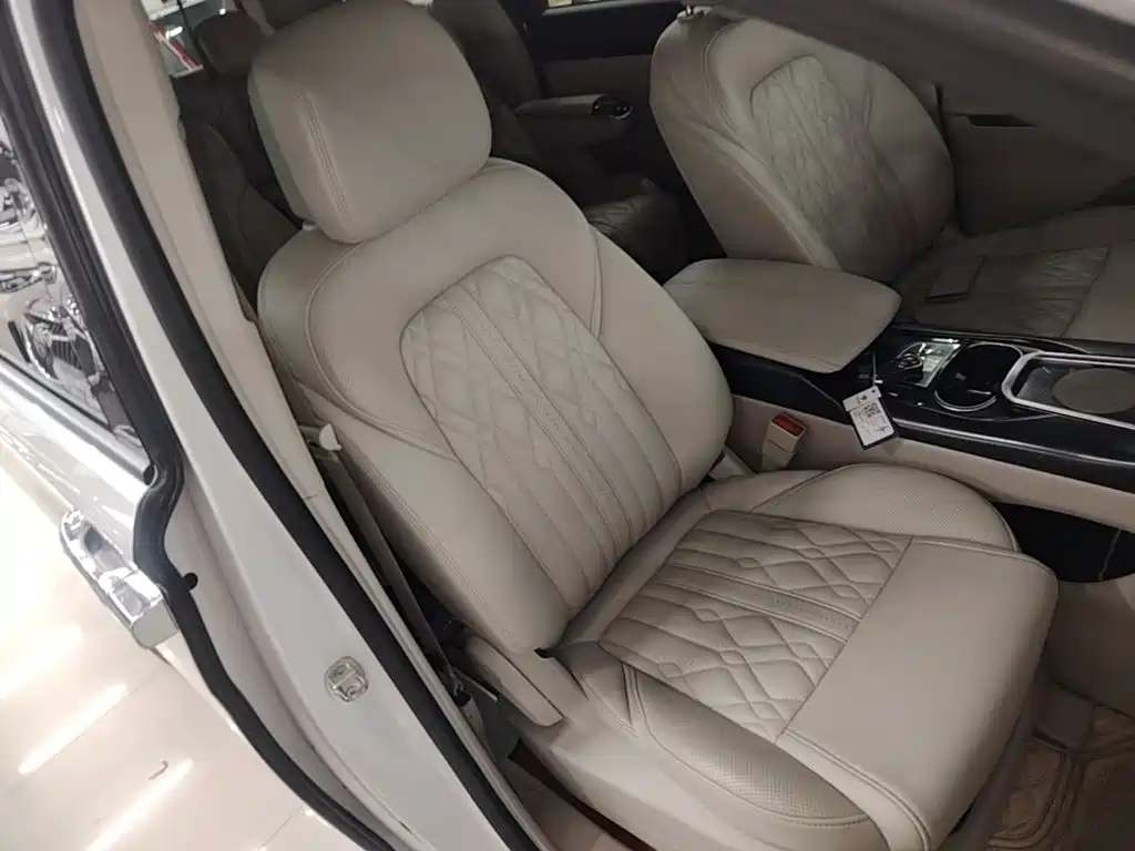 Buick GL8 — миниатюра 25