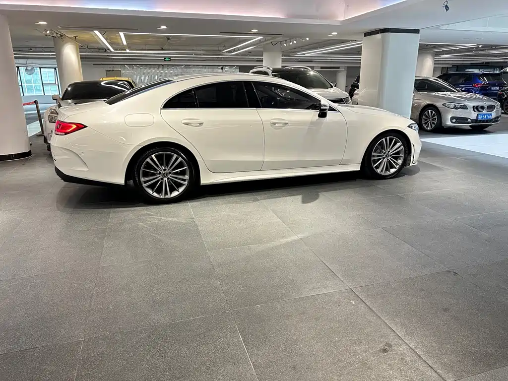 Mercedes-Benz CLS — миниатюра 8