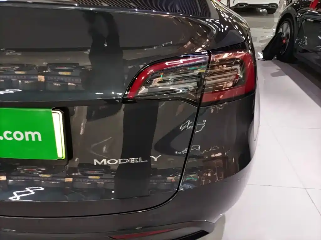 Tesla Model Y — миниатюра 8