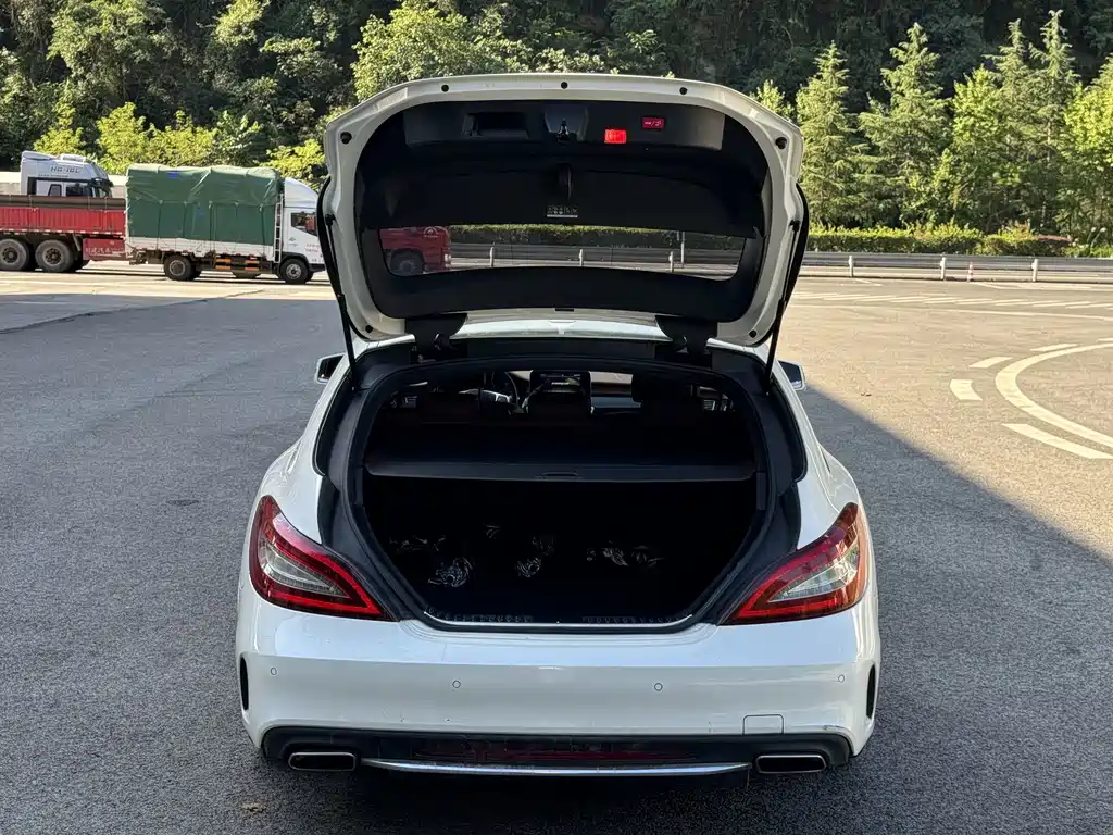 Mercedes-Benz CLS — миниатюра 17