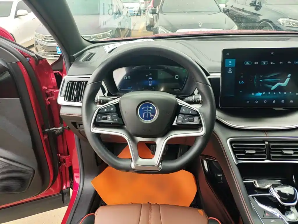 BYD PLUS — миниатюра 11