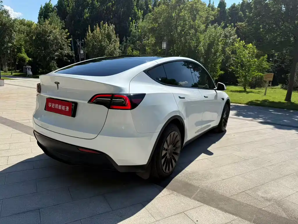 Tesla Model Y — миниатюра 6