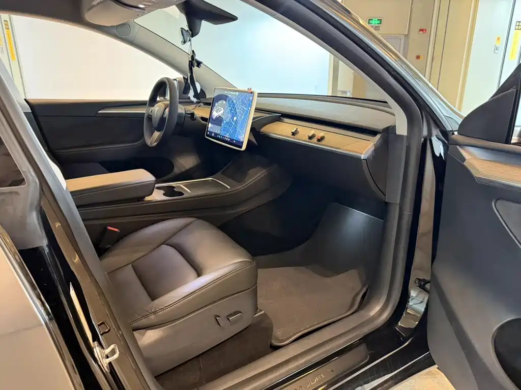 Tesla Model Y — миниатюра 6